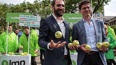 Surfing the Green wave? Climate party hopes ride high in EU vote Surfing the Green wave? Climate party hopes ride high in EU vote