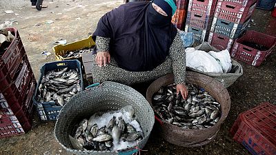 In Egypt's Nile Delta, fishermen's families hope for a bigger catch