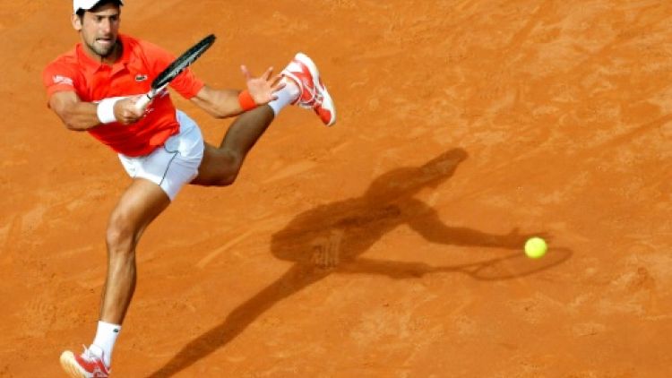Roland-Garros: Djokovic, d'un vertige à l'autre 