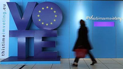 Factbox: The national stakes in the EU elections