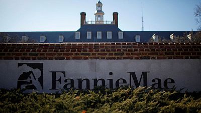 U.S. government could stagger Fannie, Freddie privatisation - regulator