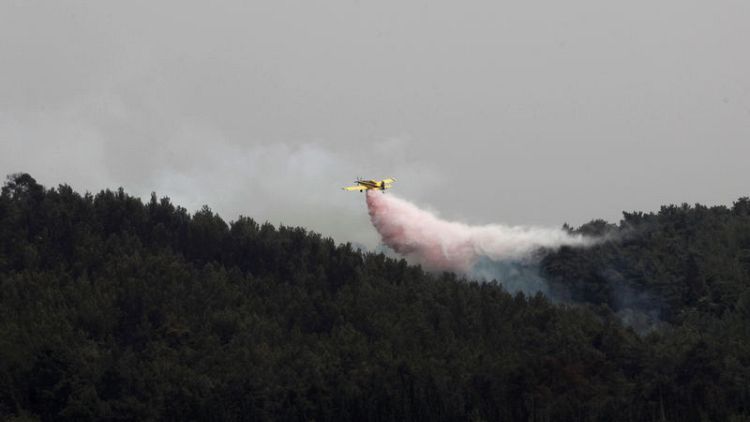 مصر ودول أوروبية ترسل طائرات لمساعدة إسرائيل في إخماد حرائق غابات