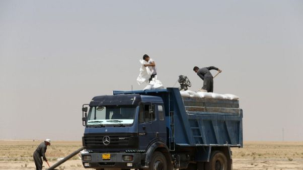 العراق اشترى ما يزيد عن 1.5 مليون طن من القمح المحلي العراق اشترى ما يزيد عن 1.5 مليون طن من القمح المحلي