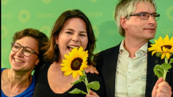 Européennes: percée des Verts face à l'urgence climatique Européennes: percée des Verts face à l'urgence climatique