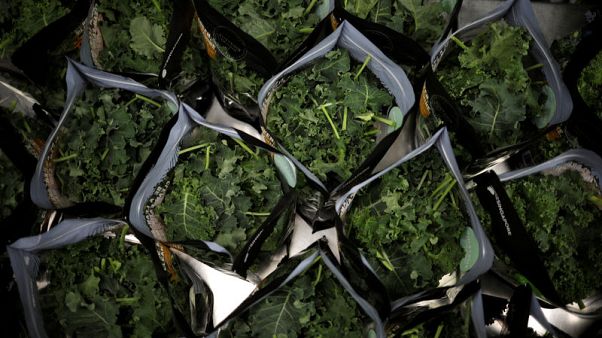 From sky farms to lab-grown shrimp, Singapore eyes food future From sky farms to lab-grown shrimp, Singapore eyes food future