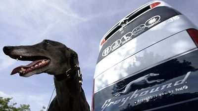 Greyhound for sale, owner First Group says