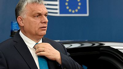 Hungary to shun Salvini's group in EU parliament - Orban aide