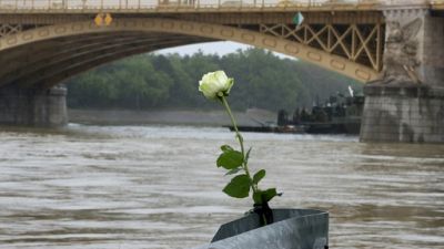 Une rose déposée au bord du Danube, à Budapest, le 30 mai 2019