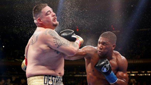 Boxe: "Je ne sous-estime jamais personne", assure Joshua Boxe: "Je ne sous-estime jamais personne", assure Joshua