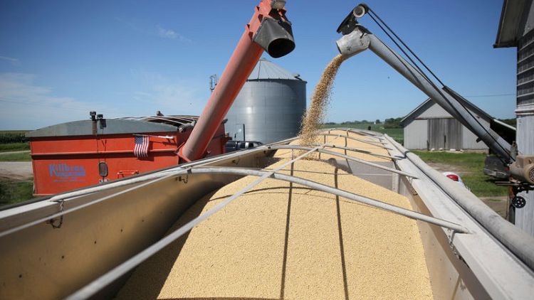 Exclusive: Pile drive - China expected to divert outstanding U.S. soybean cargoes into reserves