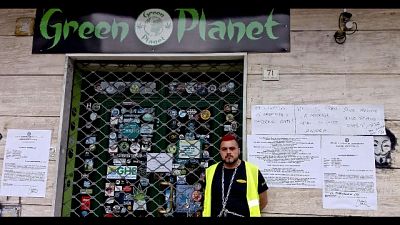 Cannabis:Gip convalida sequestri Caserta Cannabis:Gip convalida sequestri Caserta