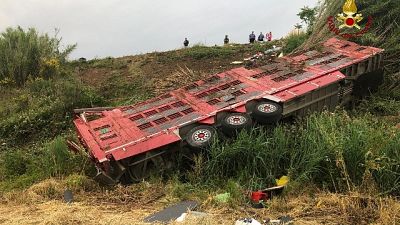 Camion si ribalta, muoiono 30 vitelli Camion si ribalta, muoiono 30 vitelli