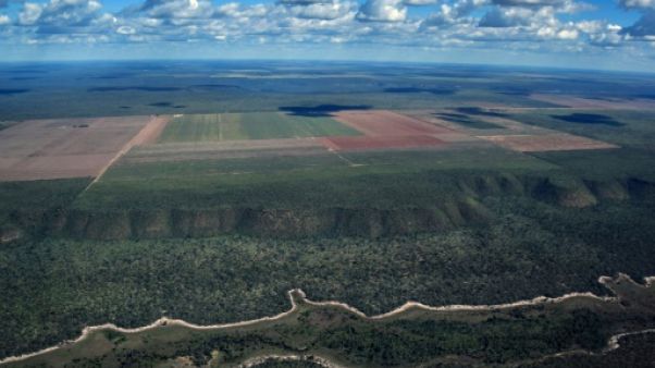 Au Brésil, les monocultures grignotent la savane et menacent les communautés Au Brésil, les monocultures grignotent la savane et menacent les communautés