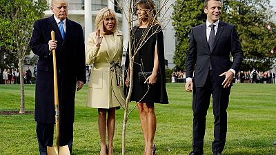 Macron to send new tree to Trump after oak gift died Macron to send new tree to Trump after oak gift died