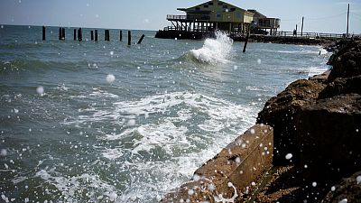Near-record 'dead zone' forecast off U.S. Gulf coast, threatening fish Near-record 'dead zone' forecast off U.S. Gulf coast, threatening fish