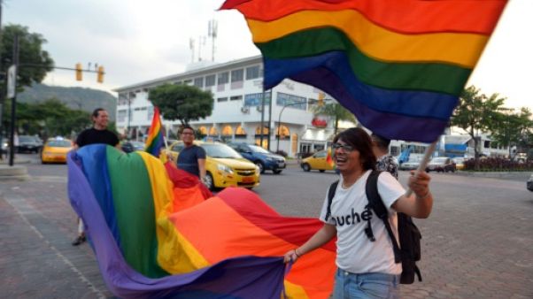 Des Equatoriens célèbrent la décision de la Cour constitutionnelle d'approuver le mariage "égalitaire", le 12 juin 2019 à Quito Des Equatoriens célèbrent la décision de la Cour constitutionnelle d'approuver le mariage "égalitaire", le 12 juin 2019 à Quito
