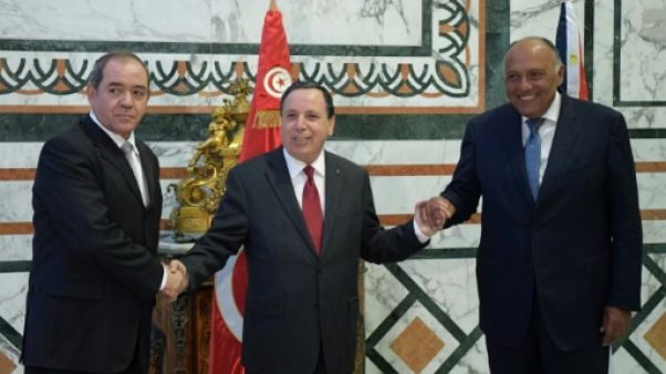 Libye: Tunis, Alger et Le Caire dénoncent les flux "continus" d'armes et de "terroristes" Libye: Tunis, Alger et Le Caire dénoncent les flux "continus" d'armes et de "terroristes"