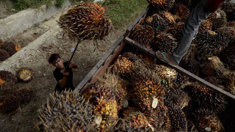 Indonesia starts testing 30% biodiesel in cars amid push to boost palm oil consumption