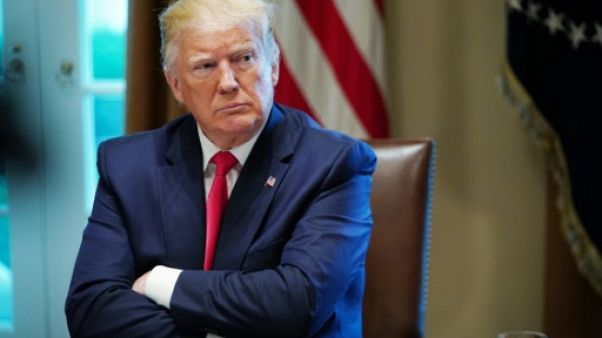 Le président américain Donald Trump à la Maison Blanche le 13 juin 2019 Le président américain Donald Trump à la Maison Blanche le 13 juin 2019