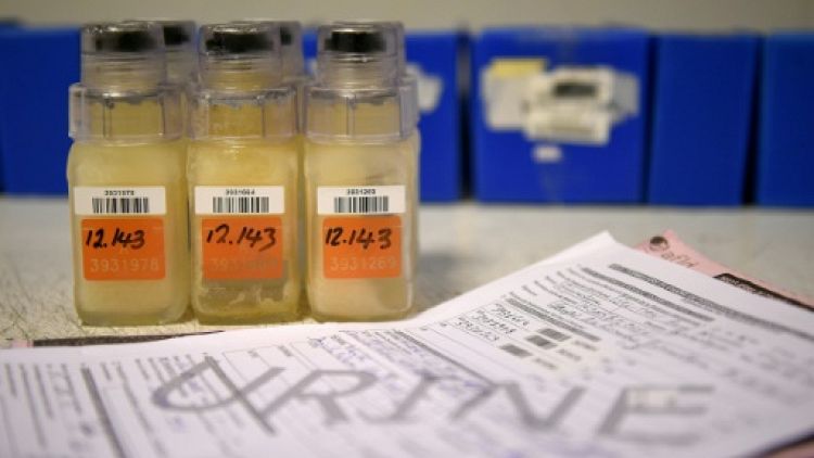 Un échantillon d'urine avant une analyse au laboratoire de l'Agence française de lutte antidopage, le 15 décembre 2015 à Chatenay-Malabry