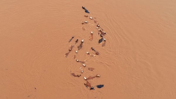 China flood death toll hits 61, 350,000 evacuated - ministry China flood death toll hits 61, 350,000 evacuated - ministry