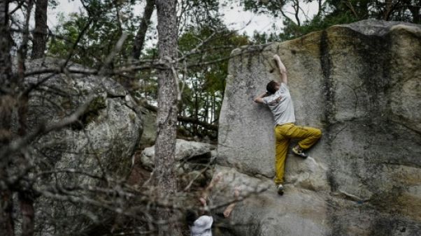 Le grimpeur Jérémy Bonder (d) est assisté par son homologue Jacky Godoff, à Fontainebleau, le 13 juin 2019 Le grimpeur Jérémy Bonder (d) est assisté par son homologue Jacky Godoff, à Fontainebleau, le 13 juin 2019