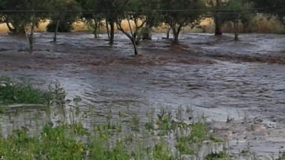 Coldiretti Puglia, campagne inondate Coldiretti Puglia, campagne inondate