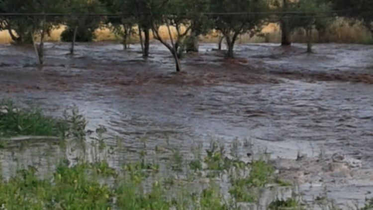 Coldiretti Puglia, campagne inondate