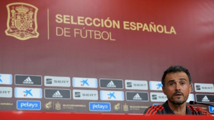 Le sélectionneur espagnol Luis Enrique en conférence de presse, à Las Palmas, le 17 novembre 2018
