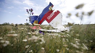 روسيا: نتائج التحقيق في كارثة الطائرة الماليزية لا أساس لها