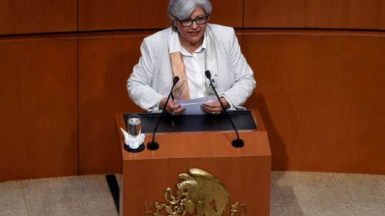 La secrétaire à l'Economie du Mexique Graciela Marquez Colin s'exprime devant le Sénat mexicain le 14 juin 2019 à Mexico City