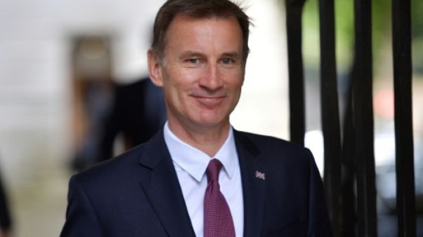 Le ministre britannique des Affaires étrangères Jeremy Hunt, ici le 18 juin 2019, affrontera Boris Johnson pour succéder à Theresa May Le ministre britannique des Affaires étrangères Jeremy Hunt, ici le 18 juin 2019, affrontera Boris Johnson pour succéder à Theresa May