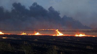 After years of war and drought, Iraq's bumper crop is burning After years of war and drought, Iraq's bumper crop is burning