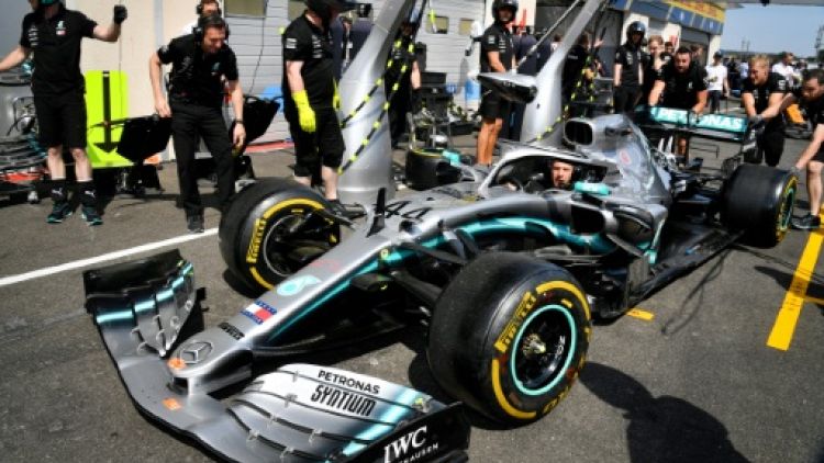 Le Britannique Lewis Hamilton (Mercedes) lors de réglages avec les mécaniciens en vue du GP de France sur le circuit du Castellet, le 20 juin 2019 