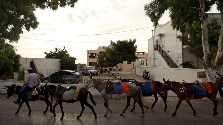 Animal rights group says Greece covering up Santorini donkey 'abuse'