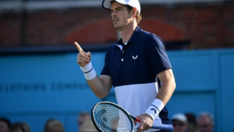 Le Britannique Andy Murray lors des quarts de finale du Queen's le 22 juin 2019