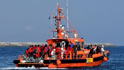 Migranti: Salvini, Olanda disinteressata Migranti: Salvini, Olanda disinteressata