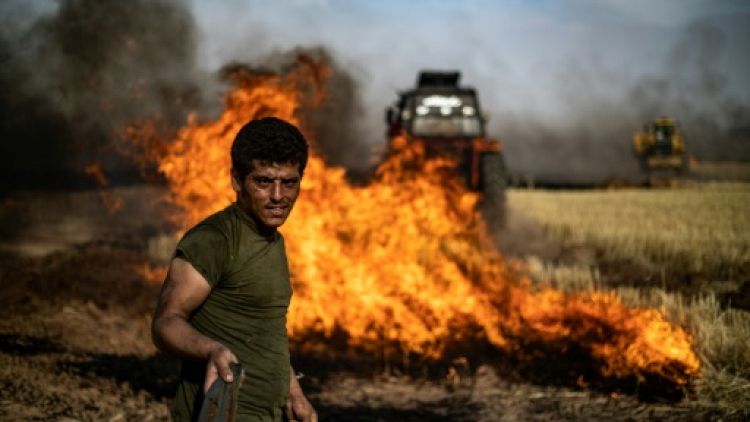 Des agricultures se battent contre un incident dans un champ de la région de Hassaké, dans le nord-est de la Syrie, le 10 juin 2019