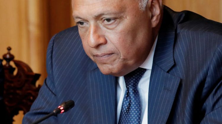وزير الخارجية المصري: سنذهب إلى البحرين "لتقييم" خطة كوشنر