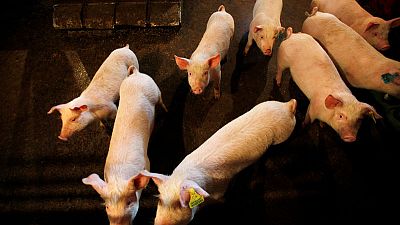 China tells Canada to stop meat shipments over bogus documents China tells Canada to stop meat shipments over bogus documents