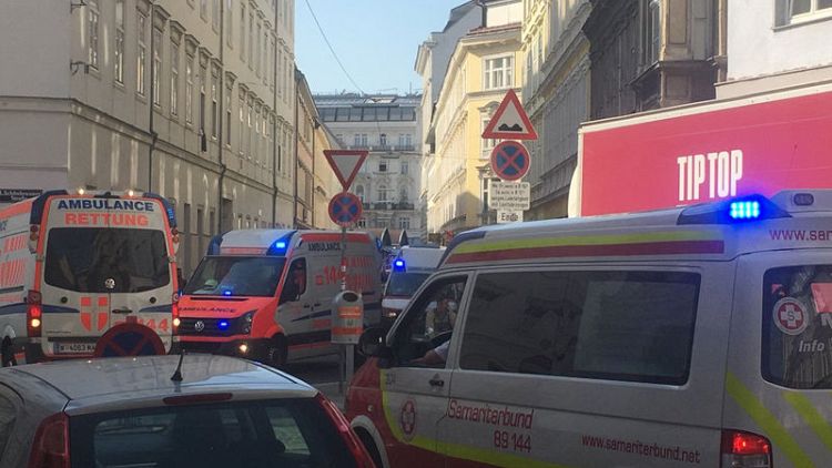 Four seriously injured in Vienna building collapse - ambulance service