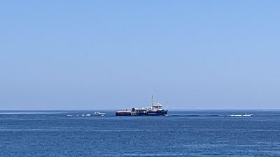 Sea Watch: Salvini, arrestare equipaggio Sea Watch: Salvini, arrestare equipaggio