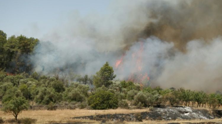 Un incendie près de Flix dans le nord-est de l'Espagne, le 27 juin 2019