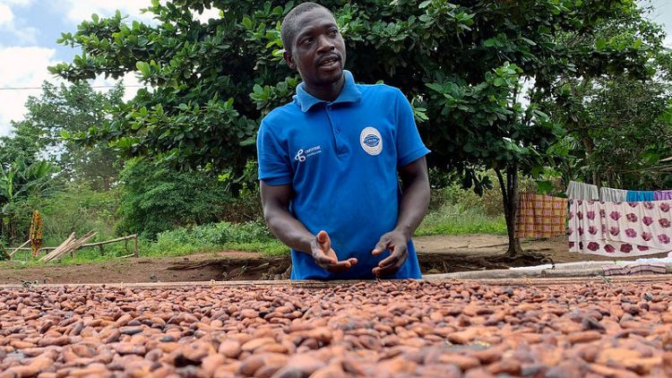 Ivory Coast and Ghana team up for greater share of chocolate wealth