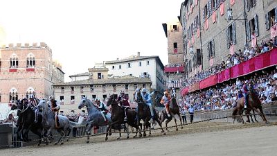 Palio Siena: assegnati i cavalli Palio Siena: assegnati i cavalli