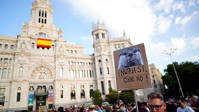 احتجاج في مدريد بعد تعليق المحافظين الحظر المفروض على معظم السيارات الملوثة للبيئة