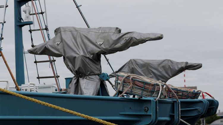 Ships set sail in Japan's first commercial whale hunt in more than 30 years