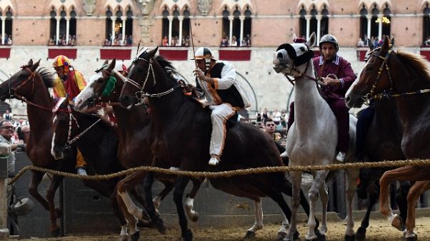 Palio Siena: Selva vince la quarta prova Palio Siena: Selva vince la quarta prova