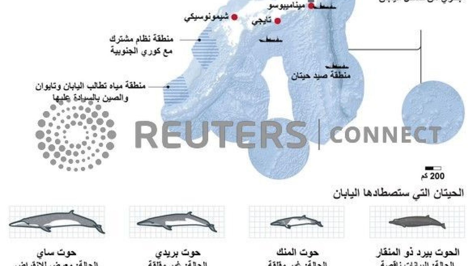 سفن تنطلق في أول رحلة تجارية لصيد الحيتان في اليابان منذ أكثر من 30 عاما
