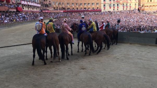 Palio Siena: a Giraffa la prova generale Palio Siena: a Giraffa la prova generale